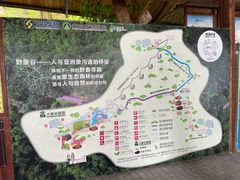 -野象谷景区