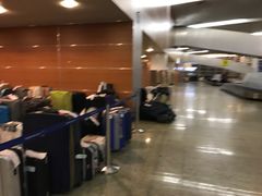 -谢列梅捷沃国际机场