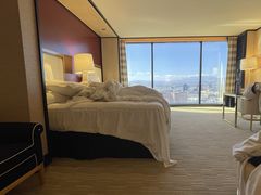 -拉斯维加斯永利酒店