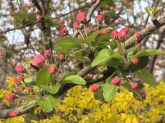 -元大都城垣遗址公园