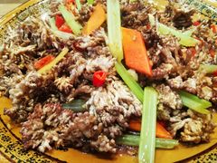 猫爪菇-悠悠美食