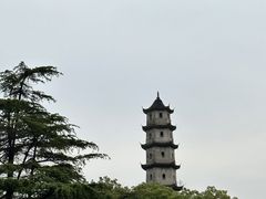 -江心屿景区