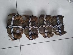 -小陆莲花蟹园农家乐(莲花岛店)