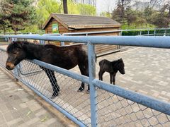 -长白岛森林公园