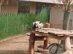 -沈阳森林动物园