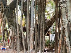 -龙达温泉生态城