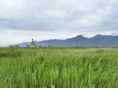 -敕勒川草原文化旅游区