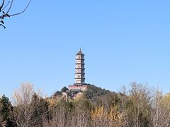 -北坞公园
