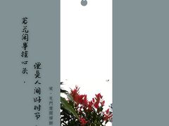 -火炉山森林公园