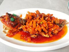 松鼠桂鱼-协和菜馆(凤凰街店)