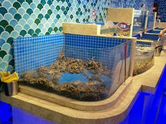 水产区-乔哥铭洋海鲜自助(皇城恒隆广场店)