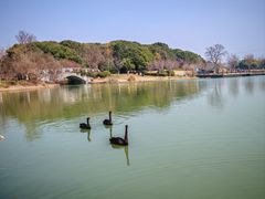 -昆山城市生态森林公园