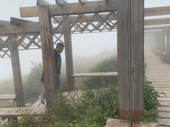 -白草畔自然风景区