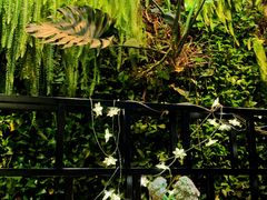 -HOME餐厅粤菜 融合菜