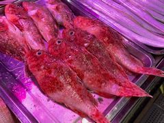 -老字号蛇口德记烧腊饭店·海鲜加工