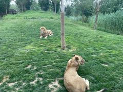 -北京野生动物园