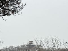 -北山公园