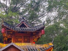 -河源客天下-温泉小镇