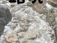 -北京鹫峰国家森林公园