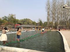 -东方巨龟苑景区