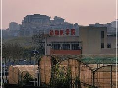 -西南大学（北碚校区）动物医院