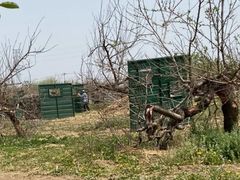 -亲兄弟真人CS团建拓展基地