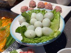 -悦见花开·花园里的火锅·露营·下午茶