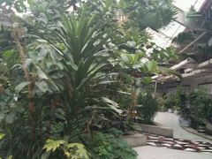 -红栌温泉山庄生态美食餐厅