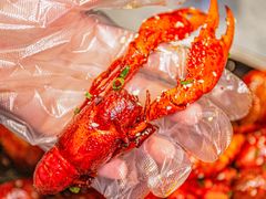 -松哥油焖大虾.小龙虾.黑鸭煲(海岸城店)