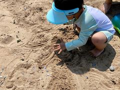 -小黑石海滨浴场·停车场