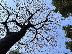 -成都市活水公园