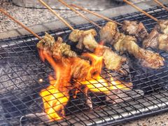 -吴淞炮台湾湿地森林公园烧烤区