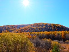 -塞罕坝国家级自然保护区