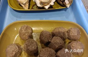 Zhanjiang Authentic Oyster