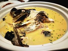 -大可堂普洱茶馆(襄阳南路馆)