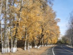 -泸州欢乐派海滩公园