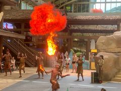 -杭州开元森泊度假乐园