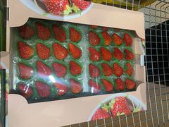 -麦德龙(十里河店)