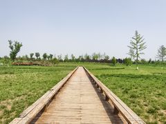 -汉长安城未央宫国家考古遗址公园