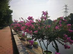 -滨河世纪广场公园