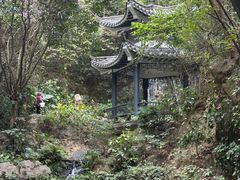 -广州市白云山风景名胜区
