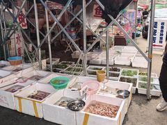 -哈尔滨道外花鸟鱼市场