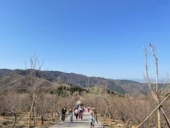 -北京西山国家森林公园