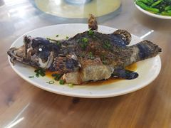 清蒸石斑鱼-明记海鲜大排档(巽寮湾店)