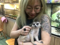 -藦茜花园宠物主题亲子互动体验馆(国顺东路店)