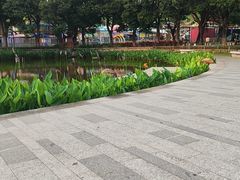 -金砂公园