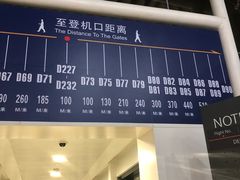 -上海浦东国际机场-T2航站楼