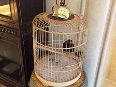 月亮河温泉度假酒店-月亮河温泉度假酒店