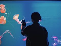 -多彩贵州城极地海洋世界