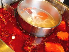 麻辣鸳鸯锅-蜀香居鲜毛肚火锅